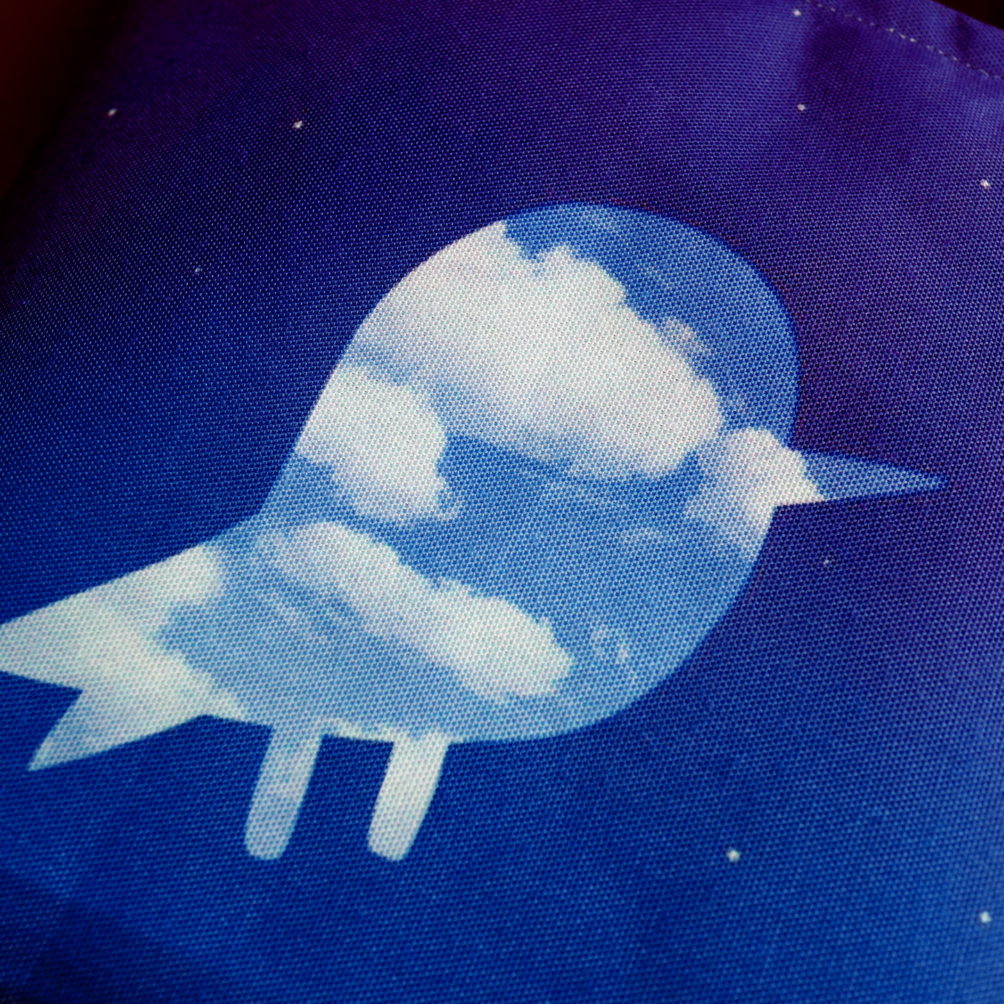 Rare Surrealist Bird - tote bag for art lovers (3 sizes)