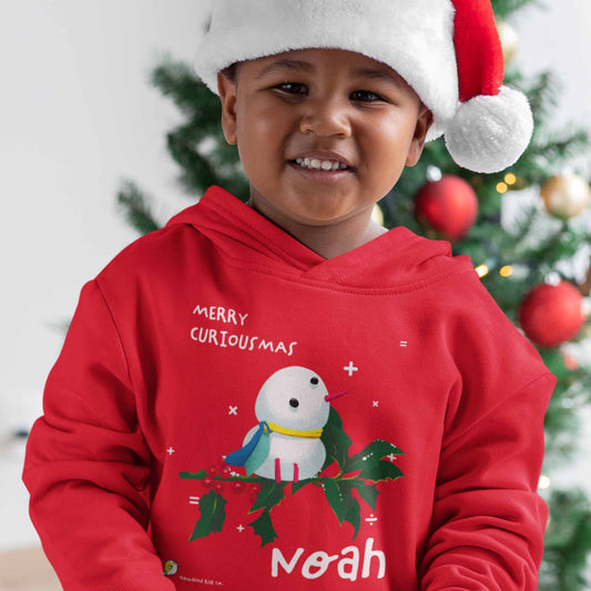 Snowbird & Math - personalized Christmas sweater (toddler sizes, 2-6)